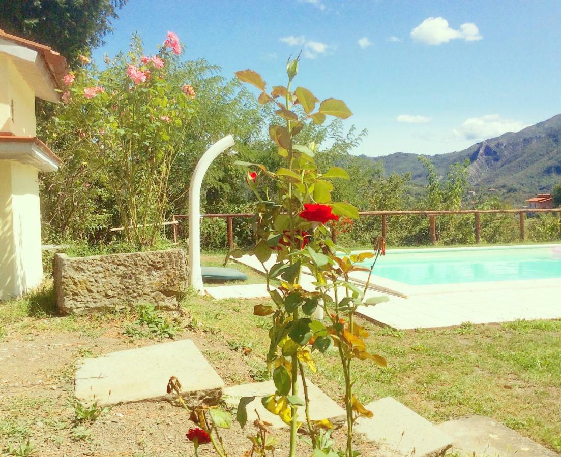 Le Apuane Guest House Mezzana  Exterior photo
